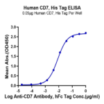 Human CD7 Protein BP005750 Syd Labs