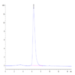 Human CD7 Protein (CD7-HM401)