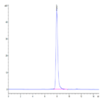 Biotinylated Mouse CD7 Protein (Primary Amine Labeling) BP003547 Syd Labs