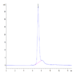 Mouse CD74/DHLAG Protein BP004939 Syd Labs