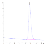Mouse CD79B Protein BP004951 Syd Labs