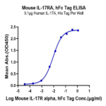 Mouse IL-17R alpha/CD217 Protein BP004306 Syd Labs