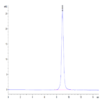 Canine CD28 Protein BP004767 Syd Labs