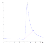 Human CD83 Protein (CD8-HM183)