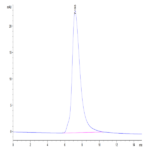 Human CD89 Protein BP005775 Syd Labs