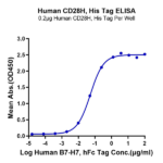 Human CD28H/IGPR-1 Protein BP004338 Syd Labs
