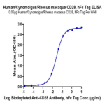 Human/Cynomolgus/Rhesus macaque CD28 Protein BP005071 Syd Labs