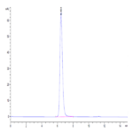Human/Cynomolgus/Rhesus macaque CD28 Protein (CD8-HM228)