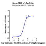 Human CD83 Protein BP004747 Syd Labs