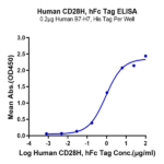 Human CD28H/IGPR-1 Protein BP005030 Syd Labs