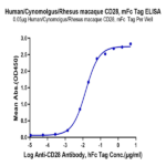 Human/Cynomolgus/Rhesus macaque CD28 Protein BP004425 Syd Labs