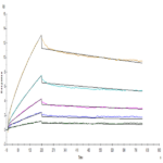 Human/Cynomolgus/Rhesus macaque CD28 Protein BP005365 Syd Labs