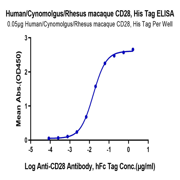 Human/Cynomolgus/Rhesus macaque CD28 Protein (CD8-HM428)