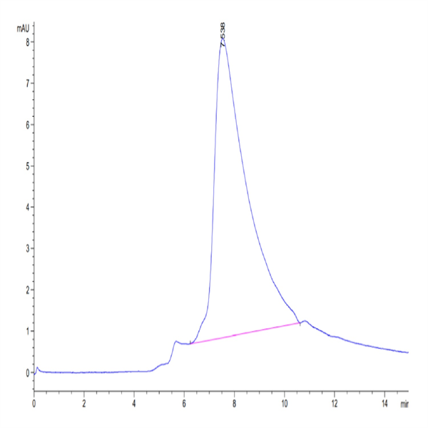 Human/Cynomolgus/Rhesus macaque CD28 Protein (CD8-HM428)