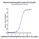 Biotinylated Human/Cynomolgus/Rhesus macaque CD28 Protein BP005585 Syd Labs