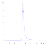 Human CD84/SLAMF5 Protein BP005070 Syd Labs