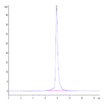Mouse CD8 alpha/CD8A Protein BP005135 Syd Labs