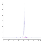 Mouse CD8 alpha&beta Heterodimer Protein BP003282 Syd Labs