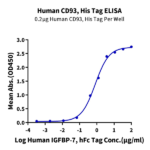 Human CD93/C1q R1 Protein BP004448 Syd Labs