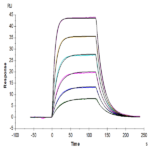 Human CD96/TACTILE (C110S) Protein BP003827 Syd Labs
