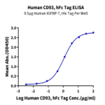 Human CD93/C1q R1 Protein BP004415 Syd Labs