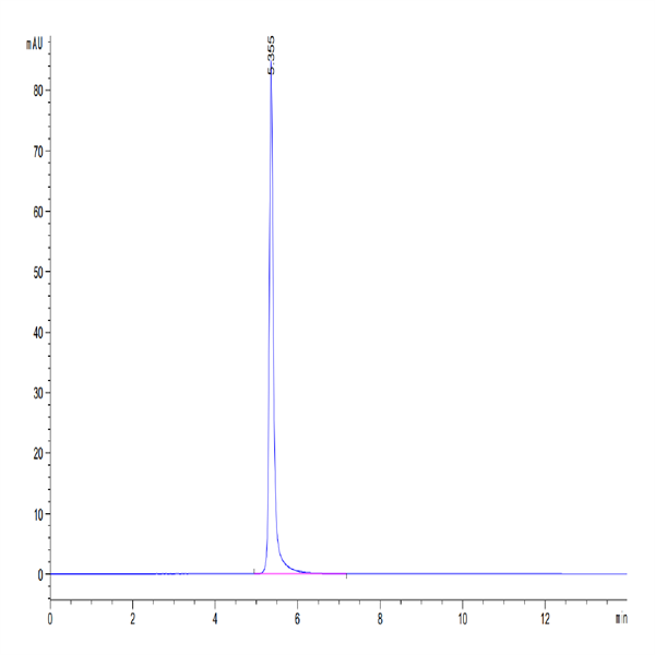 Human CD93/C1q R1 Protein (CD9-HM293)