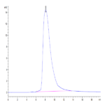 Human CD94 Protein BP005424 Syd Labs