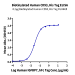 CD9-HM493B-2