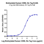 Biotinylated Human CD96/TACTILE Protein BP003997 Syd Labs