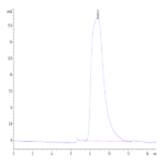 Mouse CD9P1 Protein BP004211 Syd Labs