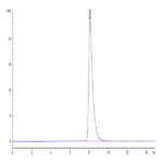 Cynomolgus CD300A Protein (CDA-CM101)