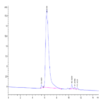 Cynomolgus CD300A Protein BP003392 Syd Labs