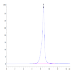Human CD1A Protein BP004342 Syd Labs