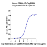 Human CD300A Protein BP004912 Syd Labs