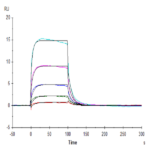 Human Fc gamma RIIIA/CD16a (F176) Protein BP005444 Syd Labs
