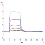 Biotinylated Human Fc gamma RIIIA/CD16a (F176) Protein BP005710 Syd Labs