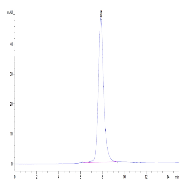 Human Fc gamma RIIA/CD32a (H167) Protein (CDA-HM432)