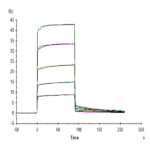 Mouse Fc gamma RIIB/CD32b Protein BP004313 Syd Labs