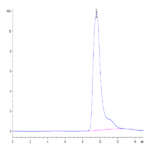 Mouse Fc gamma RIIB/CD32b Protein (CDB-MM101)