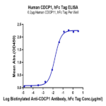 Human CDCP1 Protein BP005765 Syd Labs