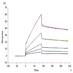 Biotinylated Mouse CDCP1 Protein BP004728 Syd Labs