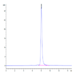 Rat CDCP1 Protein BP003912 Syd Labs