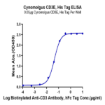 Cynomolgus CD3E/CD3 epsilon Protein BP005556 Syd Labs