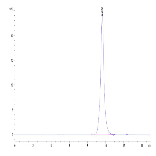 Biotinylated Cynomolgus CD3E/CD3 epsilon Protein (Primary Amine Labeling) (CDE-CM101B)