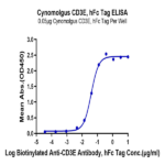 Cynomolgus CD3E/CD3 epsilon Protein BP005557 Syd Labs