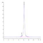 Cynomolgus E-Cadherin/Cadherin-1 Protein BP003628 Syd Labs