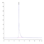 Human CDH19 Protein BP003588 Syd Labs