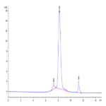 Human N Cadherin Protein BP003258 Syd Labs