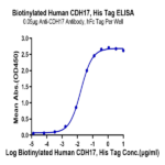 Biotinylated Human CDH17/Cadherin 17 Protein BP003717 Syd Labs
