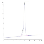 Mouse CDH6/Cadherin-6 Protein BP003576 Syd Labs
